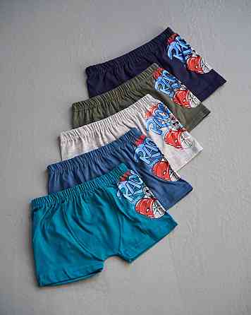 Боксеры мальчиковые детские - микс Racer. Набор из 5 шт. Nicoletta 41098 4-5 Киев