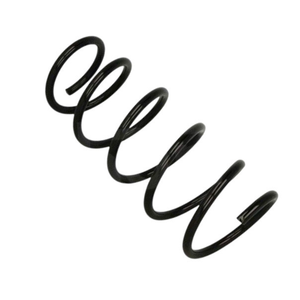 Пружина Renault Kangoo 1.6, 1.9dTi, 1.9dCi (97-) передняя Мукачево - изображение 1