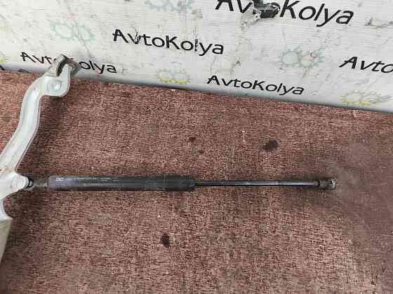 Петля капота ліва Mercedes Citan 2012-2020 (A4158800028) Ковель