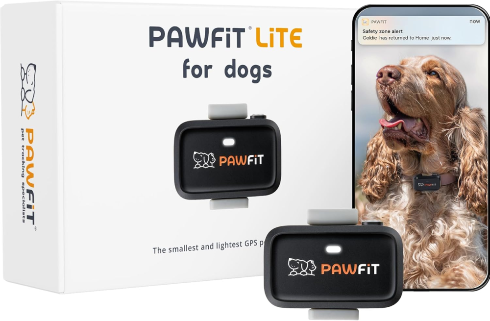 GPS-трекер Pawfit Lite 4G для собак Black Onyx, GPS в реальном времени, мониторинг активности, история маршрутов, неограниченный Киев - изображение 2
