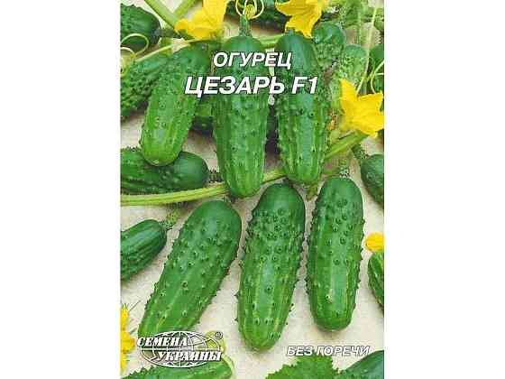 Гігант Огірок Цезарь F1 (гібрид) 4 г (10 пачок) ТМ НАСІННЯ УКРАЇНИ Київ