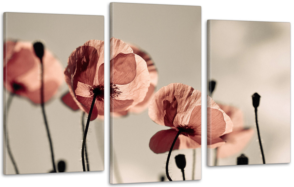 Модульна картина Квіти Art-45_3 Київ - фото 1