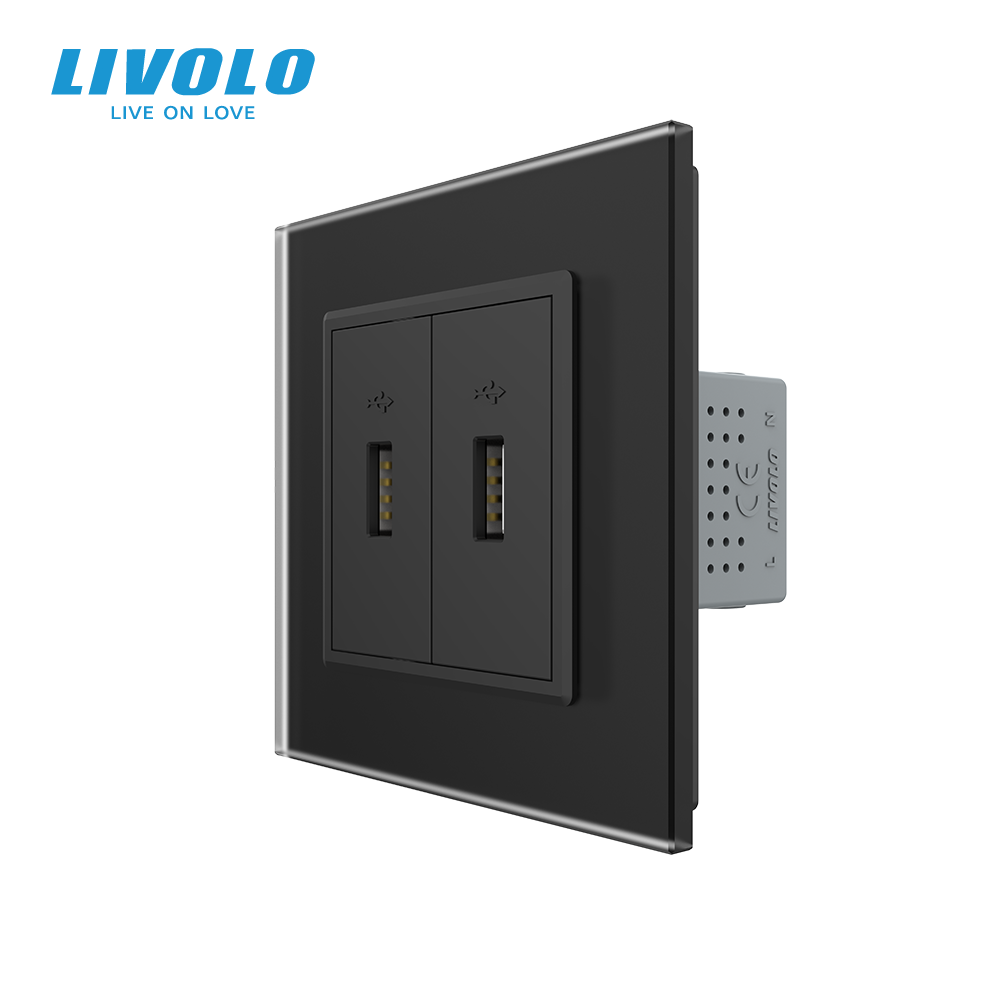 Розетка подвійна USB з блоком живлення LIVOLO чорна матова скло Коломия - фото 1
