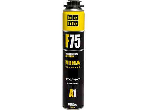 Піна монтажна професійна 850мл всесезонна MEGA, PRO-F75 (A1) /1035г ТМ BE LIFE Київ