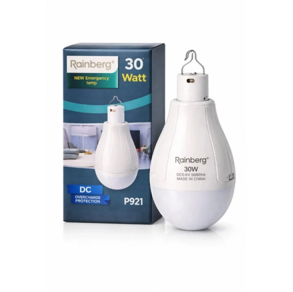 Акумуляторна LED лампа Rainberg RB-P921 30W, 1500 лм, 2×18650, USB, 6400K, 3 режими Одеса - фото 1