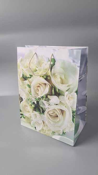 Подарочный  бумажный пакет Гигант (широкое дно )о 30/40/17(артGSD-46) (12 шт) Харьков - изображение 1