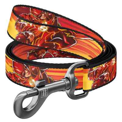 Повідець для собак WAUDOG Nylon "Швидкість Флеша" L-XXL (342-1080) Вінниця