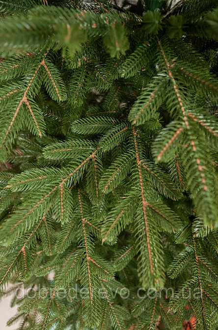 Ялинка лита, штучна ялинка, Ялинка новорічна Альяска Вижниця - фото 3