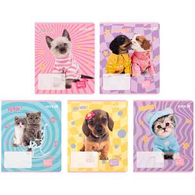 Тетрадь Kite Studio Pets, 12 листов, клетка (SP25-232) Винница