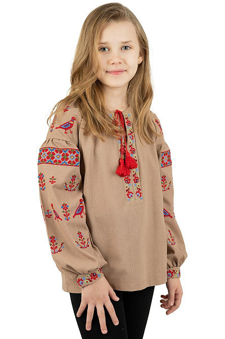 Вишиванка для дівчаток, кавова, лляна, з довгим рукавом, топ Київ - фото 1