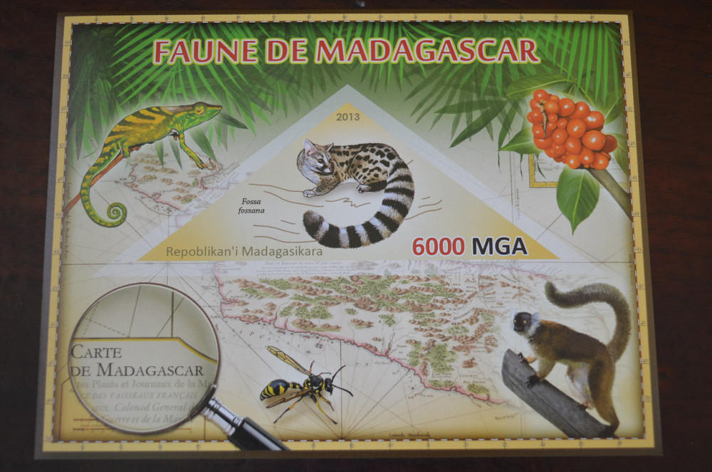 Мадагаскар. Фауна. Личности. Блок. 2014 р. (А-34) Полтава - фото 1