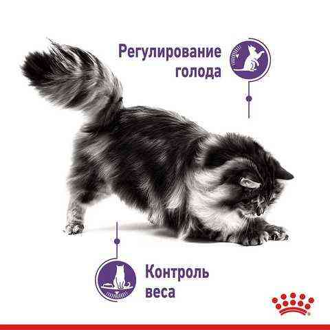 Royal Canin Appetite Control Care (Роял Канін Апетайт Контрол) корм для стерилізованих котів від 12 міс. 2 кг. Запоріжжя