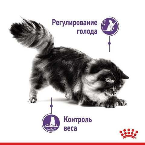 Royal Canin Appetite Control Care (Роял Канін Апетайт Контрол) корм для стерилізованих котів від 12 міс. 2 кг. Запоріжжя - фото 2
