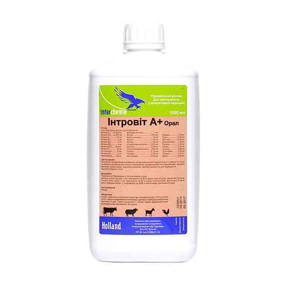 Інтровіт А+Орал, 1 л Інтерхім Нідерланди (термін до 03.2027 р) Вінниця