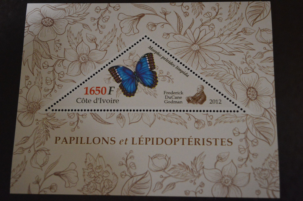 Кот-д’Ивуар. Фауна. Блок. 2014 год (А-20) Полтава - изображение 1