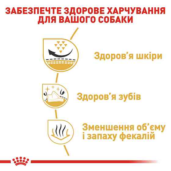 Сухий корм для дорослих собак породи Ши-тцу ROYAL CANIN SHIH TZU ADULT 1.5 кг Київ