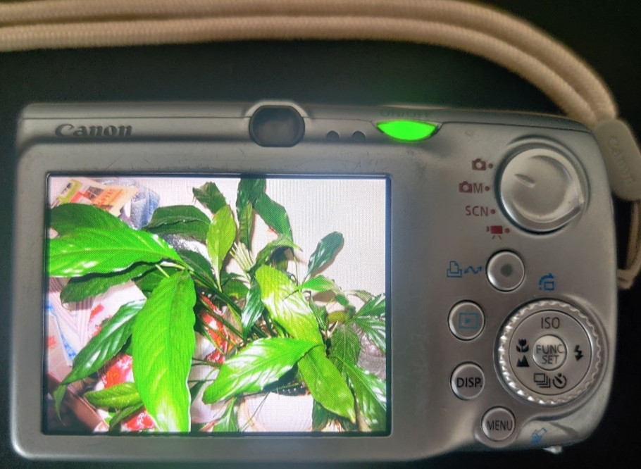 Фотоаппарат Canon IXUS 970 IS Silver Japan. Киев - изображение 4