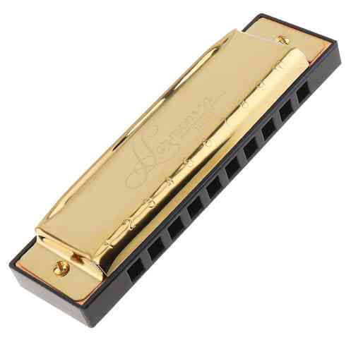 Гаромника музична Irin Harmonica Київ