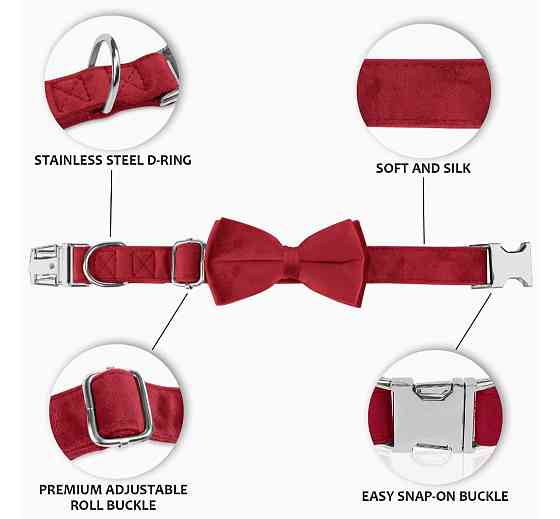 Нашийник для собак з метеликом Wirktive розмір L Луцьк