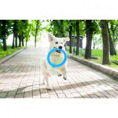 Іграшка для собак Collar PitchDog Кільце для апортування 20 см блакитне (62372) Вінниця