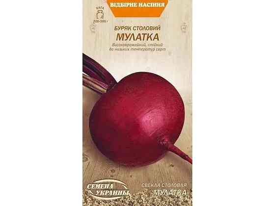 Буряк столовий МУЛАТКА ОВ 3г (10 пачок) (сс) ТМ СЕМЕНА УКРАИНЫ   Solmir Київ