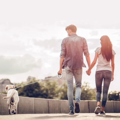 Повідок для собак WAUDOG R-leash світловідбиваюча стрічка XS-M до 40 кг 2.9 м білий (812715) Вінниця - фото 3