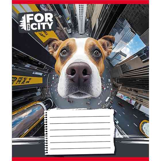 Зошит учнівський "Собака в місті" 024-560077L-2 в лінію, 24 аркуші Вінниця