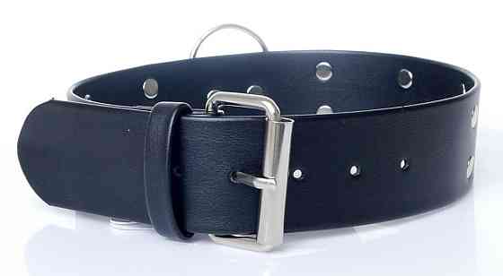 Ошейник из искуственной кожи с шипами Fetish Boss Series - Collar with studs, BS3300098 Sex Aura Киев