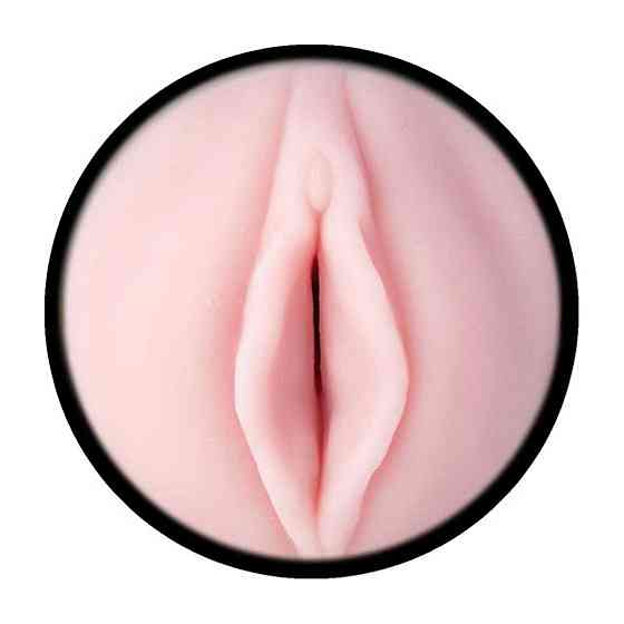Мастурбатор-вагіна Fleshlight Pink Lady Destroya Нова текстура Sex Aura Київ
