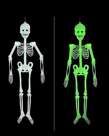 Скелет на Хэллоуин 90 см салатовый Киев