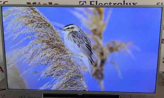 Телевизор Philips 43