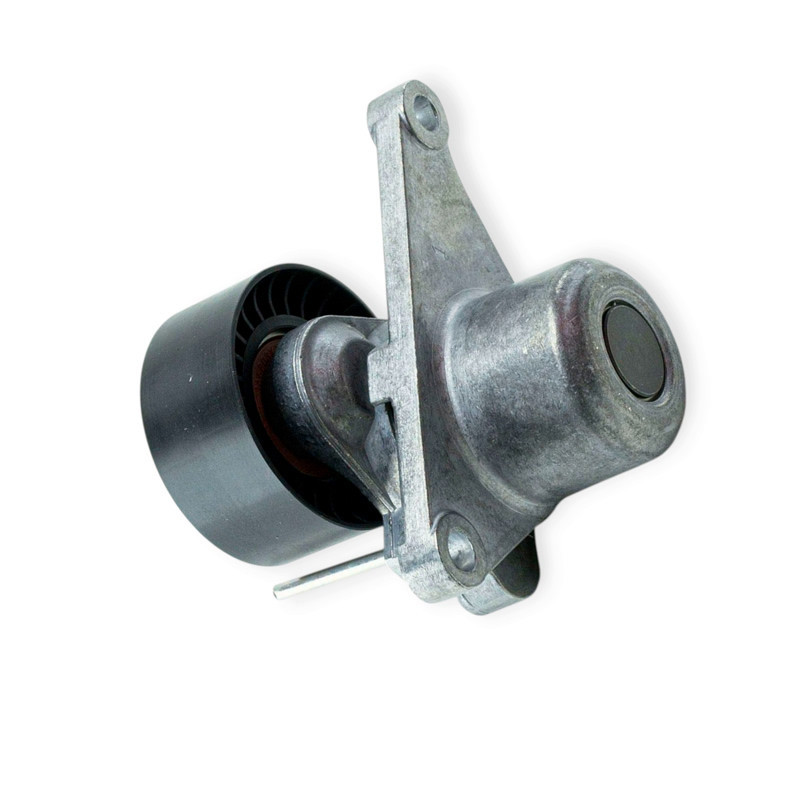 Механізм генератора Renault Trafic, Megane 2.0dCi, Master 2.3dCi 06-натягувача Мукачево - фото 1