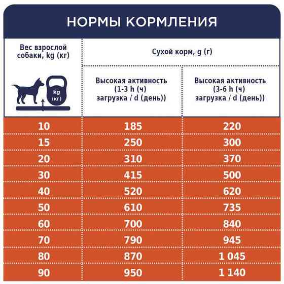 Club 4 Paws (Полуб 4 Лапи) Premium Active Adult All Breeds Chicken сухий корм із куркою для активних собак 14 кг Запоріжжя