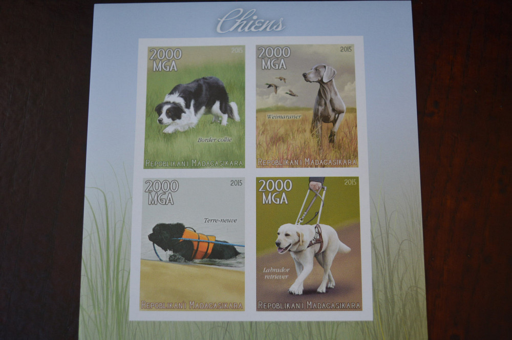 Мадагаскар. Фауна. Личности. Блок. (А-35) Полтава - изображение 1