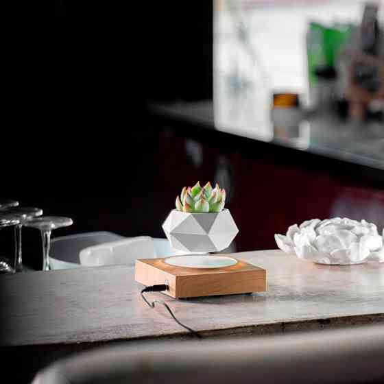 Левітуючий горщик для рослин з дерев'яним візерунком Київ