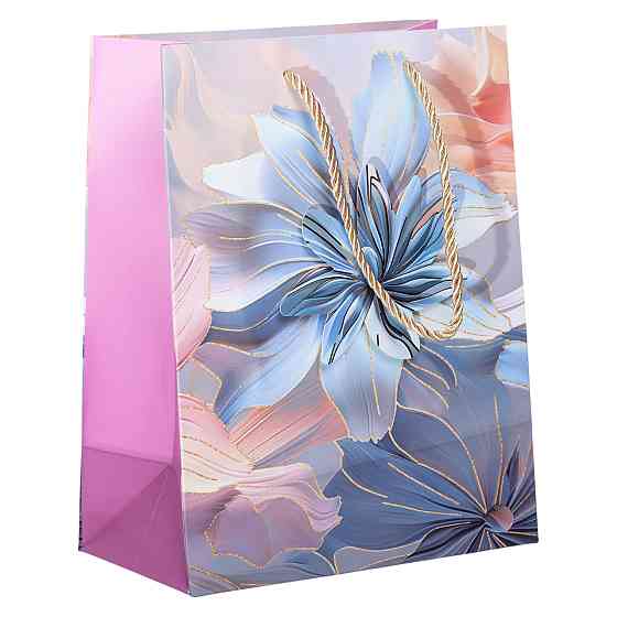 Набір подарункових пакетів з паперу 12 (шт.) гарні картонні пакети для подарунків 18×10×23 (см) HP-10359-8 Київ