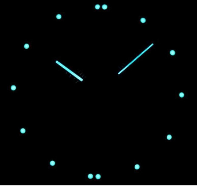 Годинник наручний ЖЕНСКИЙ елітний із діамантом, механізм MIYOTA/CITIEZEN Київ - фото 5