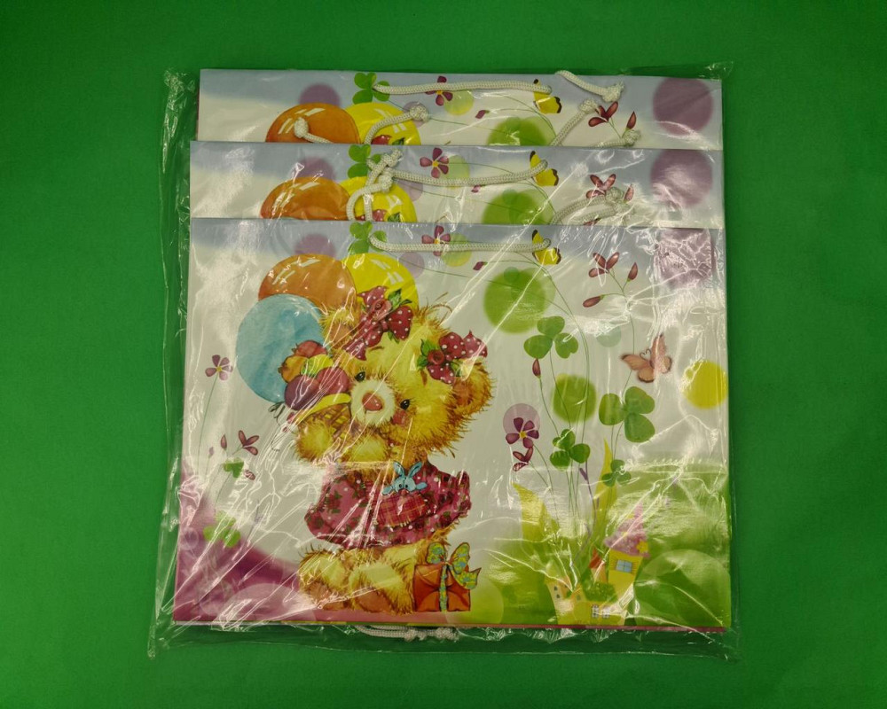 Бумажный большой горизонтальный пакет  36/22/10(артBG-066) (12 шт) Харьков - изображение 3