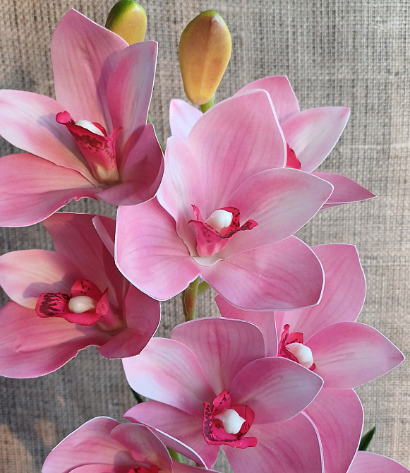 Штучна латексна орхідея цимбідіум у пластиковому кашпо рожева Дніпро - фото 2