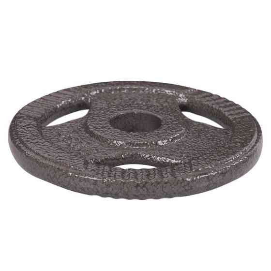 Блин (диск) стальный с хватом 1.25 кг d-30мм Zelart-7790-1_25 Киев