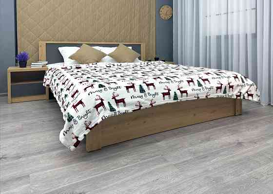 Плед-покривало 200х220 см з різдвяним принтом Різнобарвний (87-337) Київ