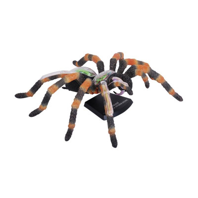 Пазл 4D Master Паук Тарантул (FM-622032) Винница - изображение 3