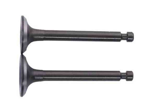 Клапаны  на генератор 1.8KW/2.0KW, к-т: 2 шт., Мукачево