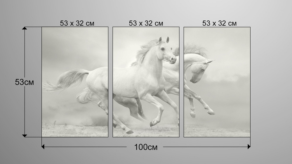 Модульна картина Природа Коні (53х100см) Аrt-125_3А Київ - фото 3