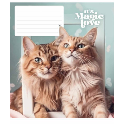 Зошит Школярик It's a magic love 12 аркушів лінія (012-3300L) Вінниця - фото 3