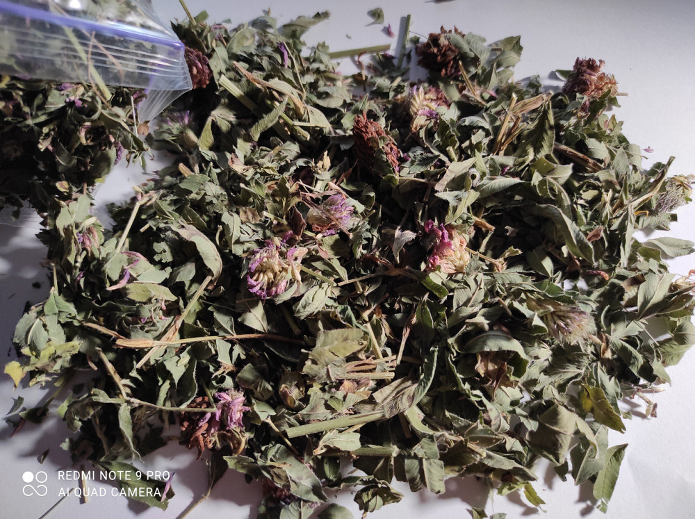 Конюшина лугова (Клевер луговой) трава 100г master sem Киев - изображение 1