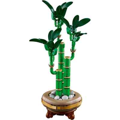 Конструктор LEGO Botanicals Бамбук щастя (10344) Вінниця
