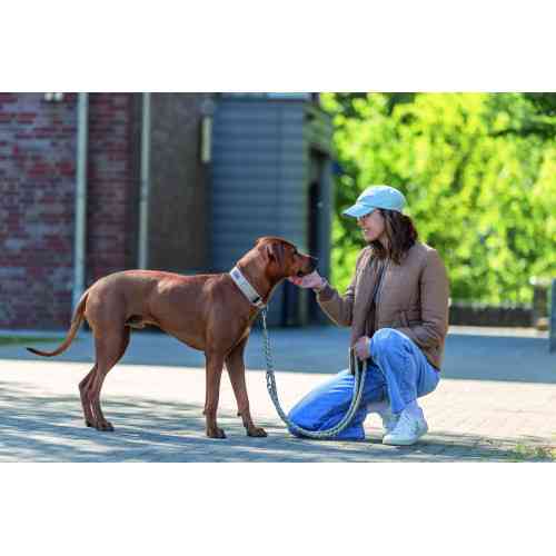 Нашийник Trixie Premium для собак екстраширокий S–M 33–42 см 35 мм пісочно-сірий Київ