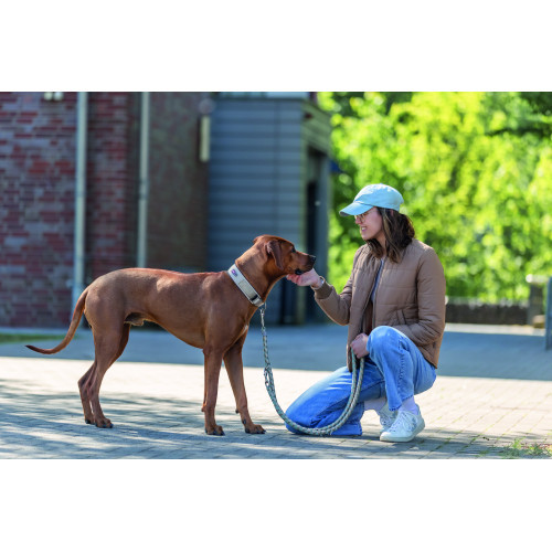 Нашийник Trixie Premium для собак екстраширокий S–M 33–42 см 35 мм пісочно-сірий Київ - фото 4