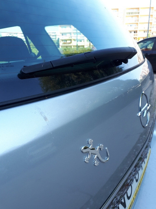 Наклейка Пластикова Ящірка Золото, Срібло Київ - фото 6